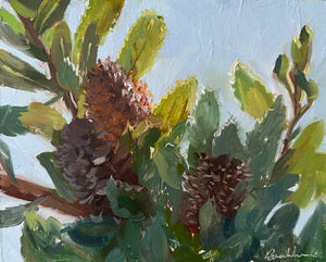 Banksia Tree