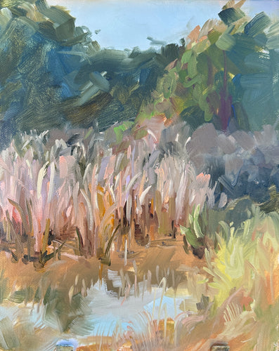 Sunny Pond Scene